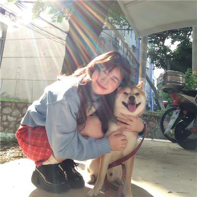 我在风里等你电视剧海报